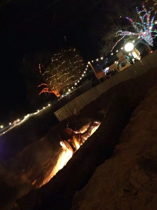 Austin Trail of Lights