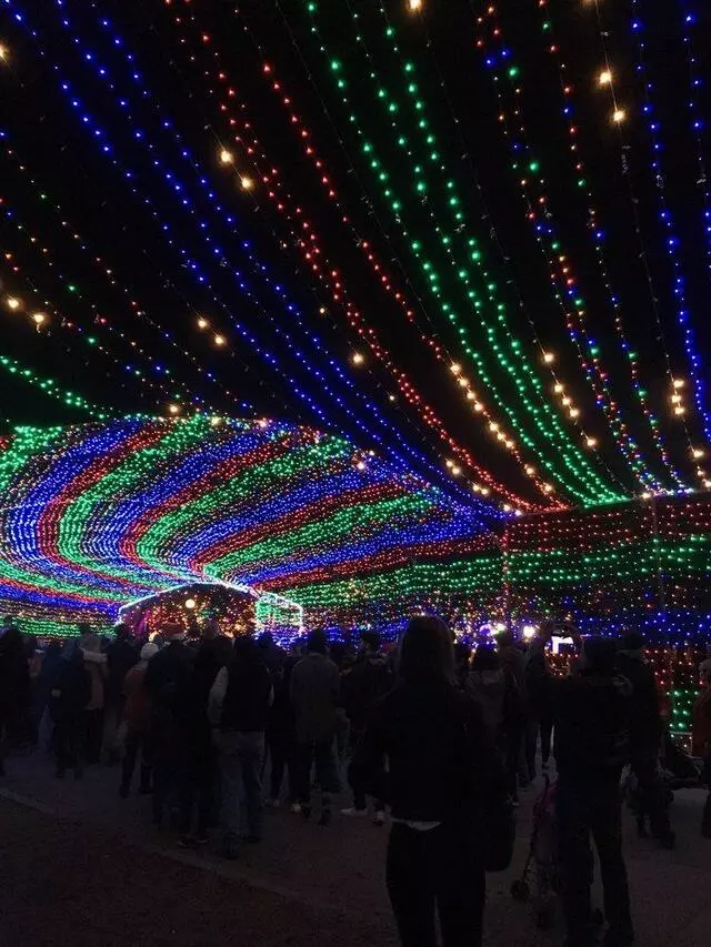 Austin Trail of Lights