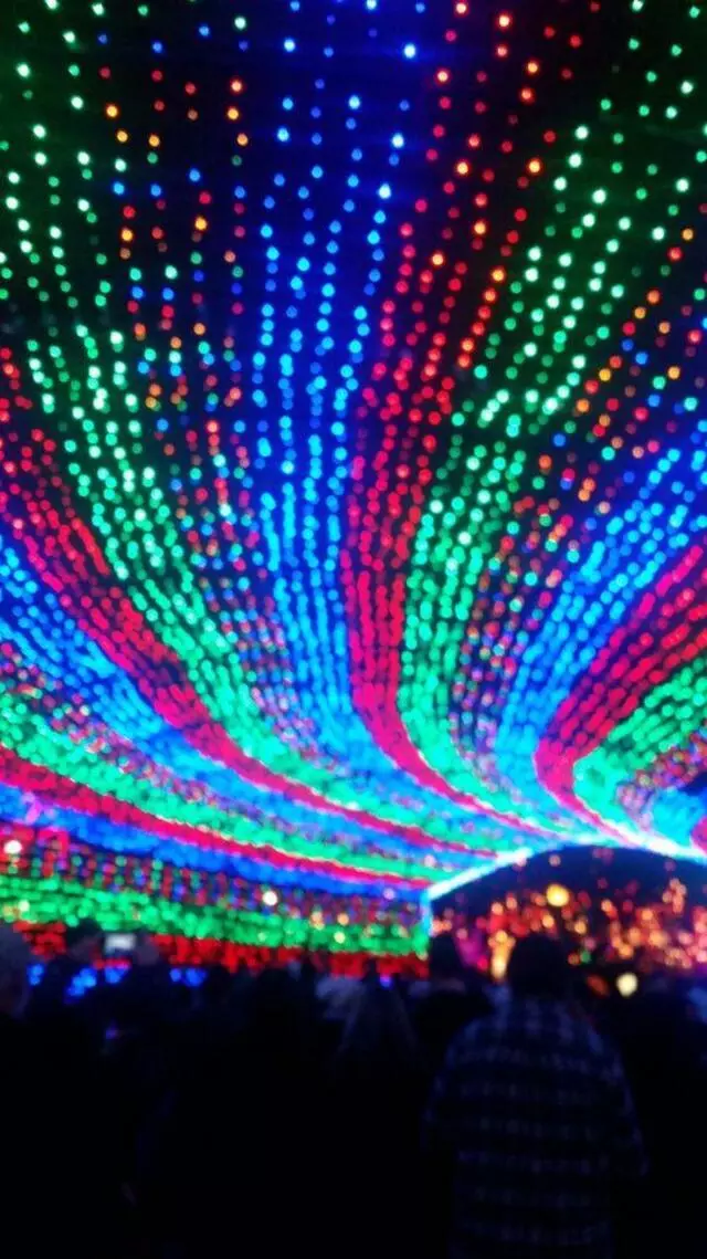 Austin Trail of Lights