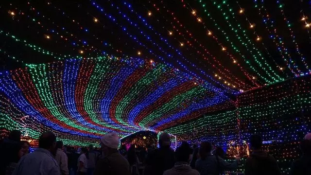 Austin Trail of Lights