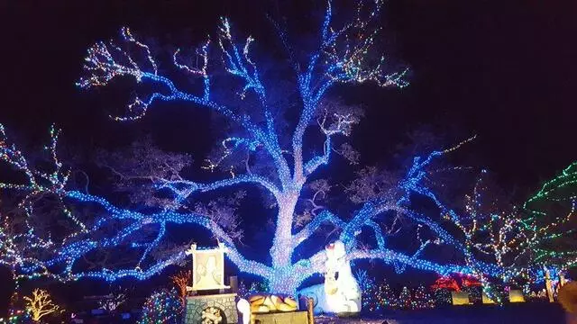 Austin Trail of Lights