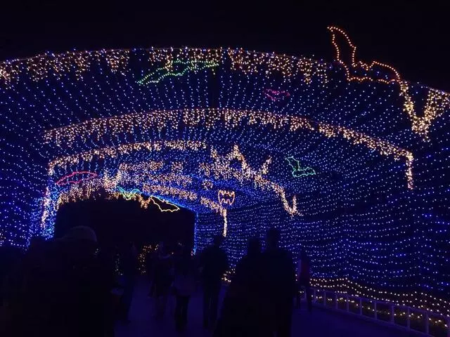 Austin Trail of Lights