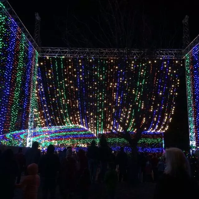 Austin Trail of Lights