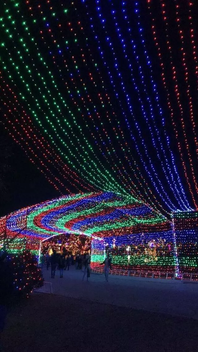 Austin Trail of Lights
