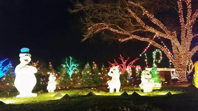 Austin Trail of Lights