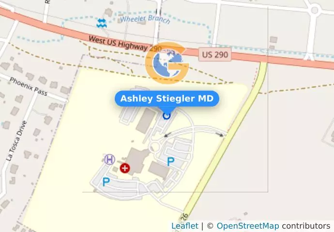 Ashley Stiegler MD