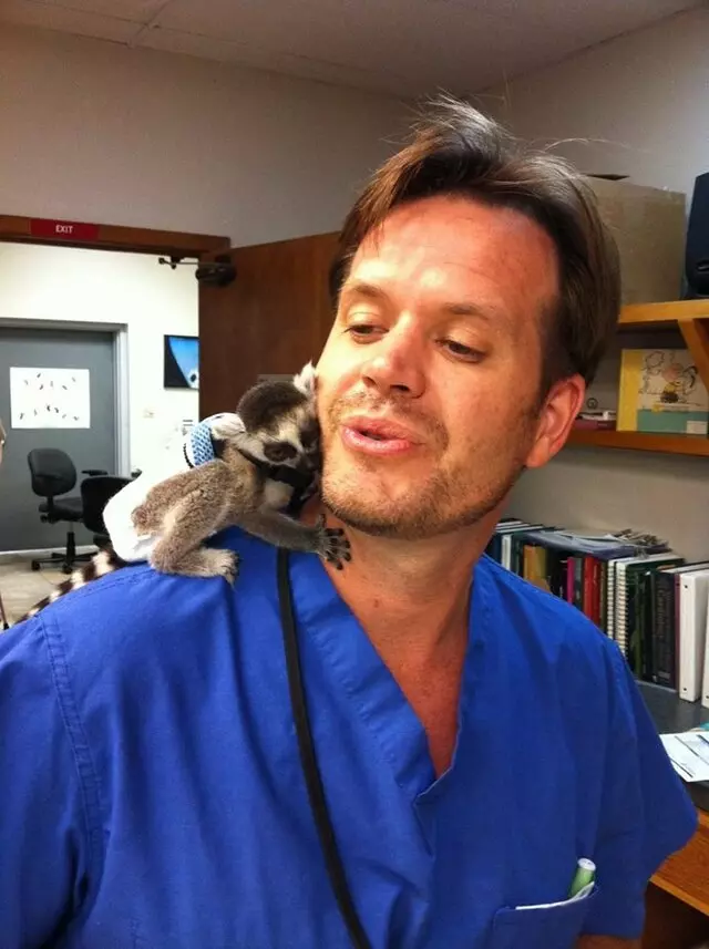 Austin Veterinary Diagnostic Hospital