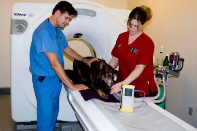 Austin Veterinary Diagnostic Hospital