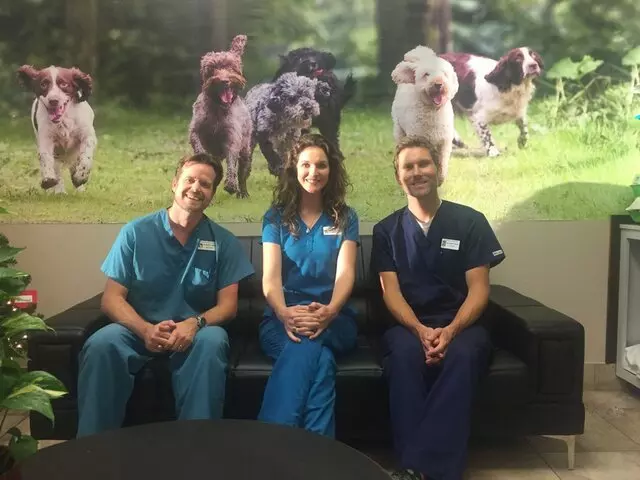 Austin Veterinary Diagnostic Hospital