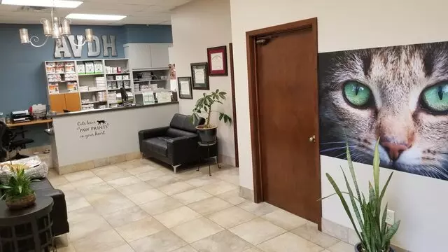 Austin Veterinary Diagnostic Hospital