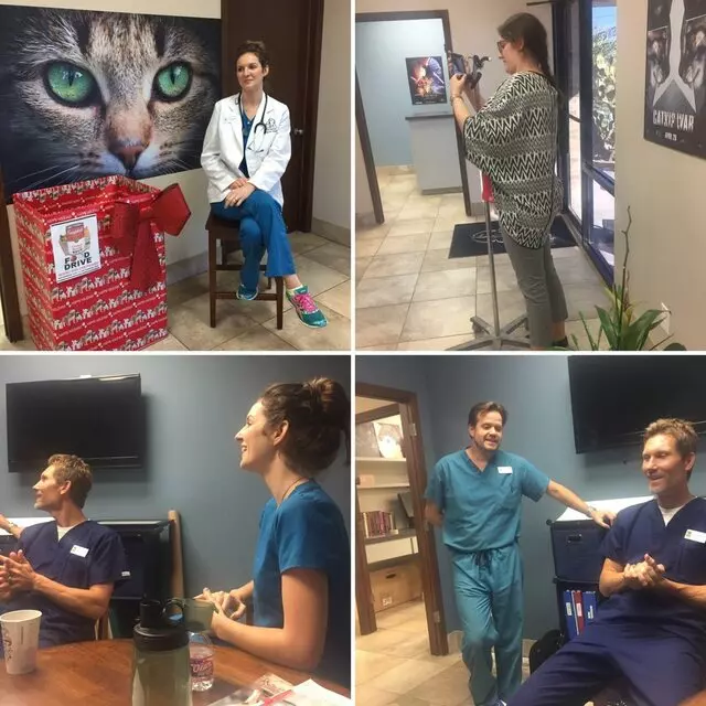 Austin Veterinary Diagnostic Hospital
