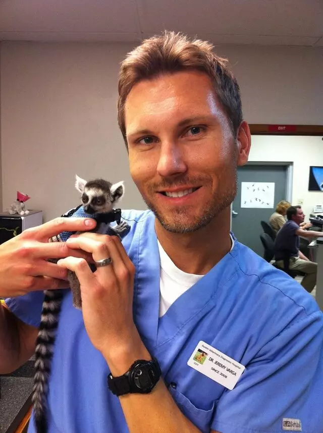 Austin Veterinary Diagnostic Hospital