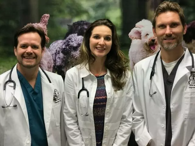 Austin Veterinary Diagnostic Hospital
