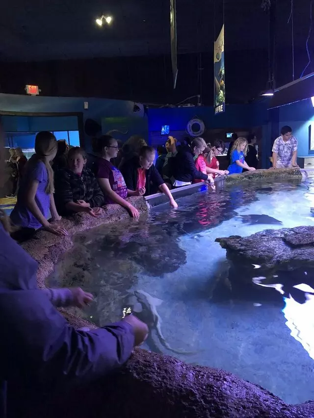 Austin Aquariams