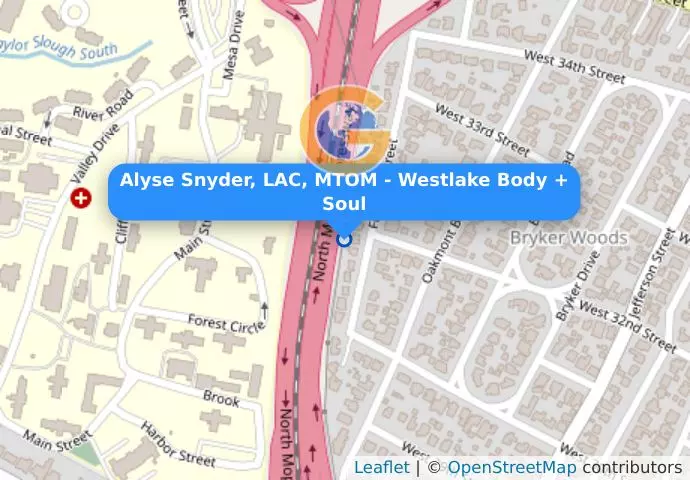 Alyse Snyder, LAC, MTOM - Westlake Body + Soul