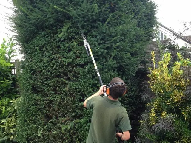 Affordable Lawn Maintenance