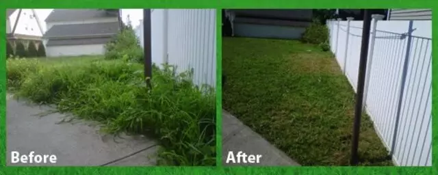 Affordable Lawn Maintenance