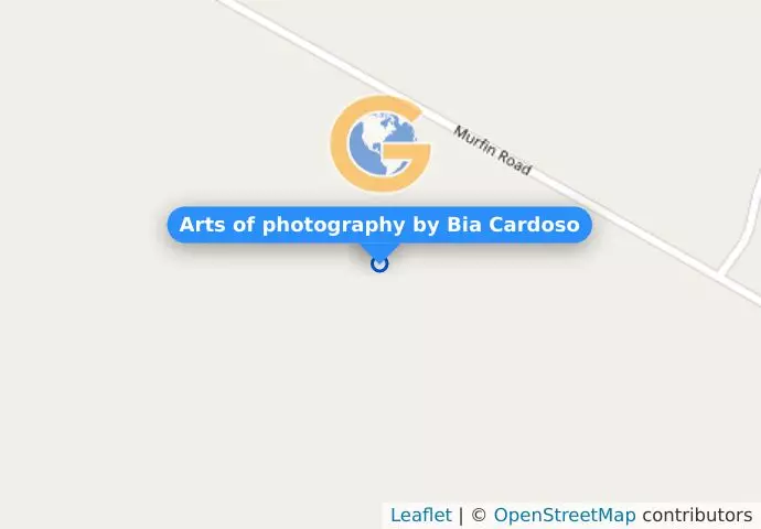 Arts of photography by Bia Cardoso