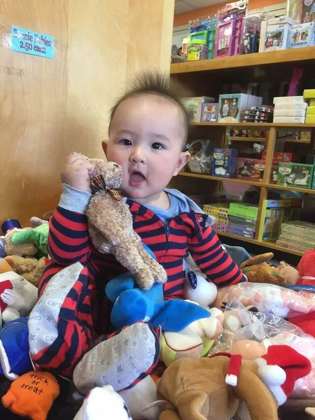 Anna’s Toy Depot