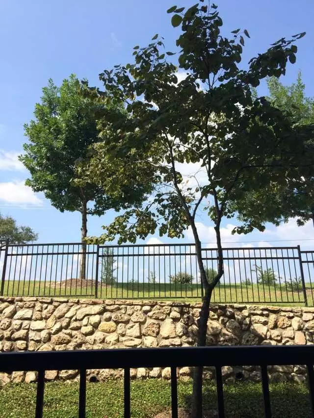 Avanti Hills At the Galleria