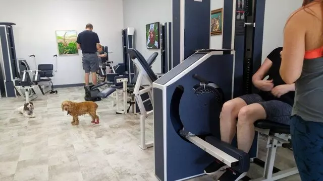 Kelly Personal Training