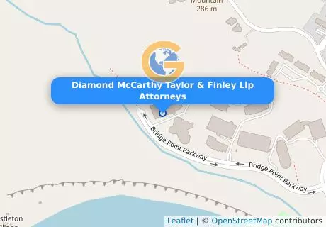 Diamond McCarthy Taylor & Finley Llp Attorneys
