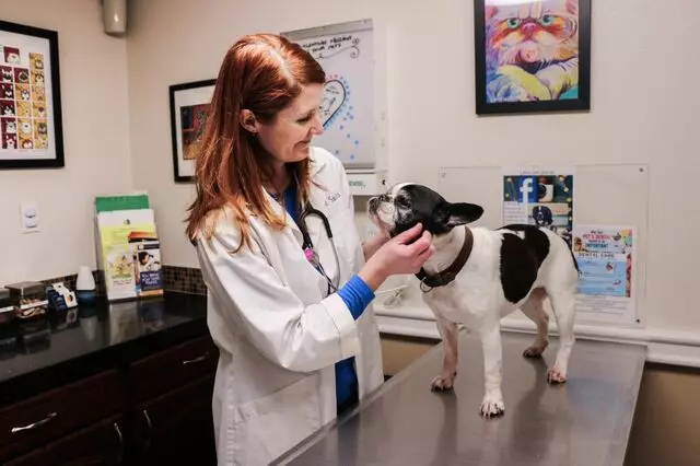 AM/PM Animal Hospital