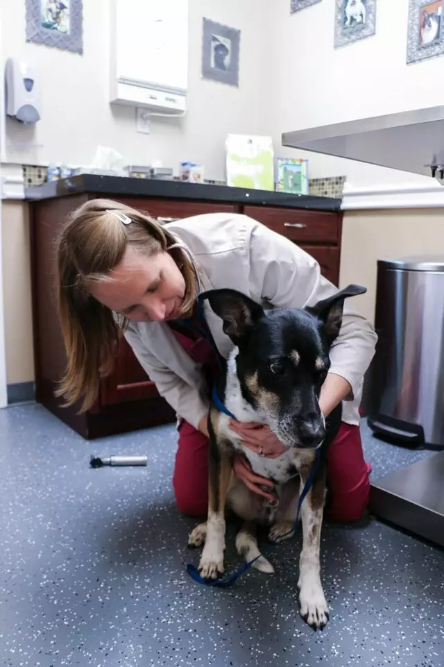 AM/PM Animal Hospital