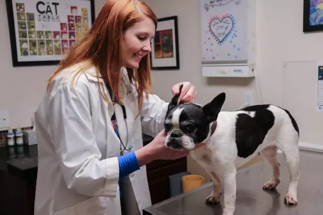 AM/PM Animal Hospital