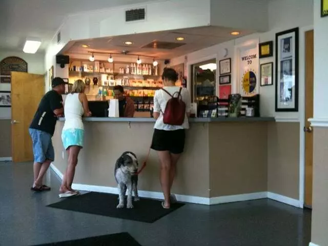 AM/PM Animal Hospital