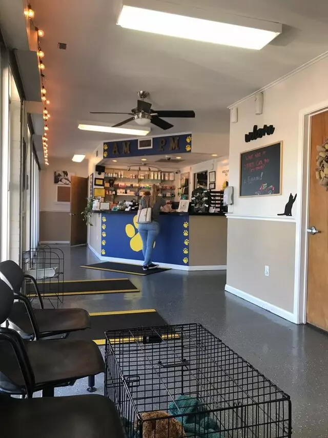 AM/PM Animal Hospital
