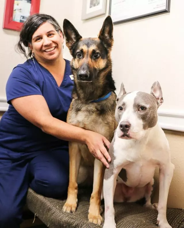 AM/PM Animal Hospital