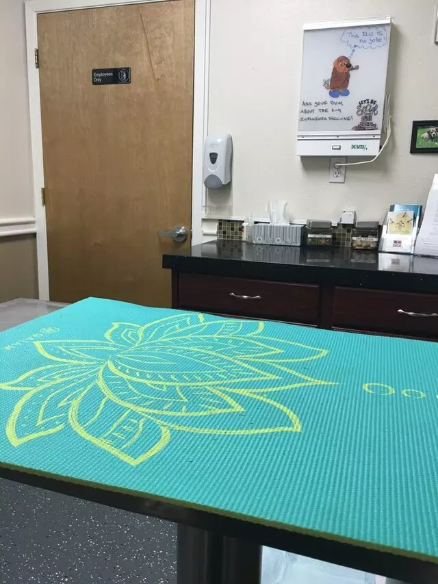 AM/PM Animal Hospital