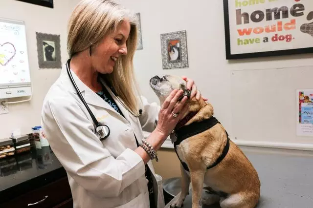 AM/PM Animal Hospital