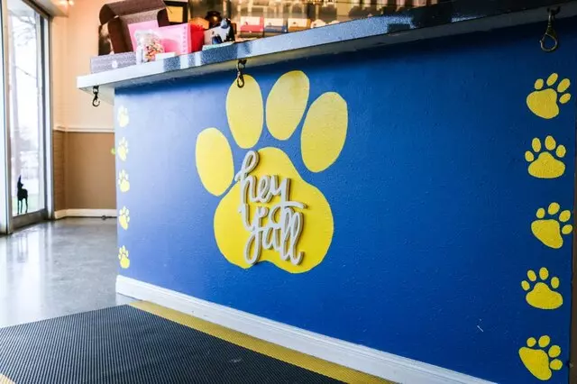 AM/PM Animal Hospital