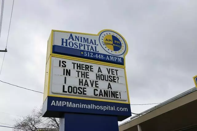 AM/PM Animal Hospital
