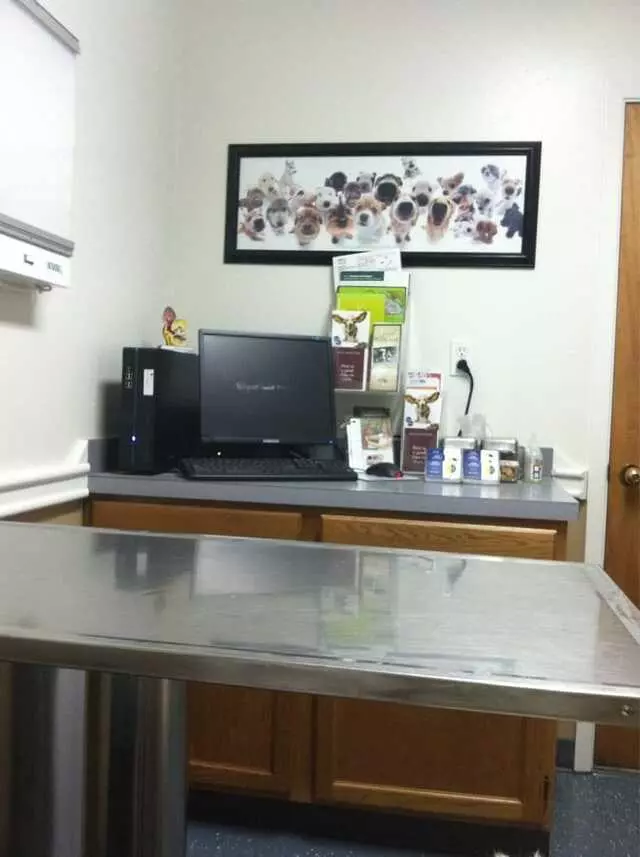 AM/PM Animal Hospital
