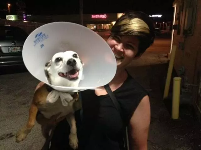 AM/PM Animal Hospital