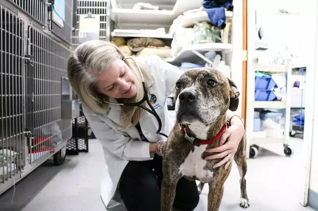 AM/PM Animal Hospital