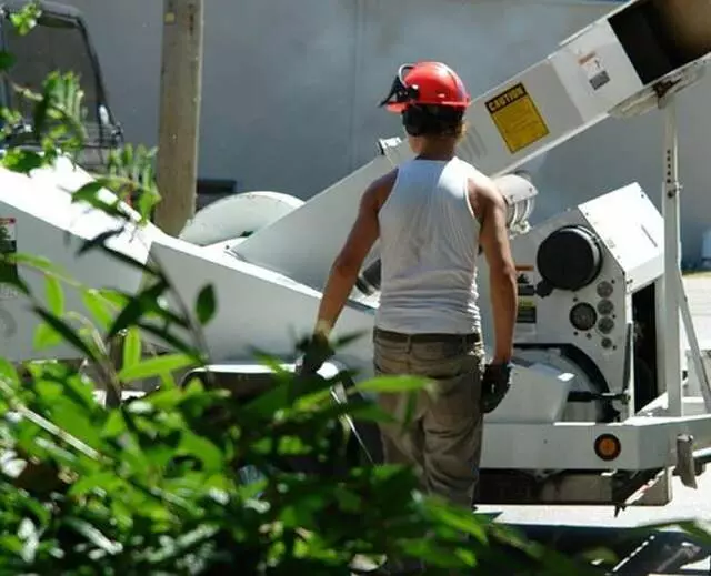 Aguilar Tree Services