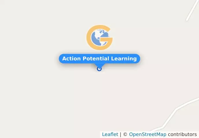 Action Potential Learning
