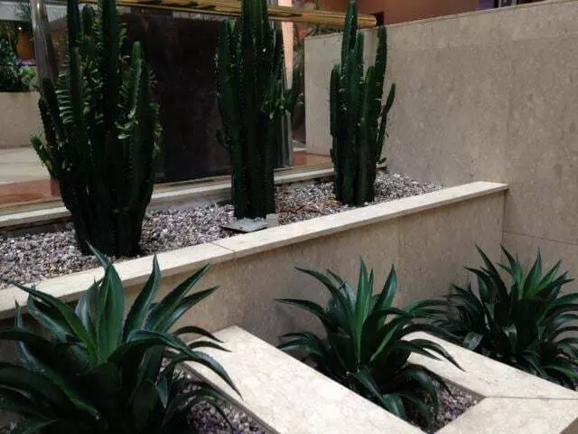Austinscape