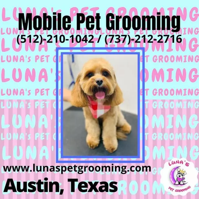 Luna’s Pet Grooming