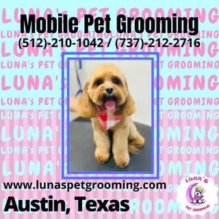 Luna’s Pet Grooming