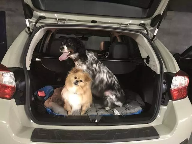 Austin Subaru