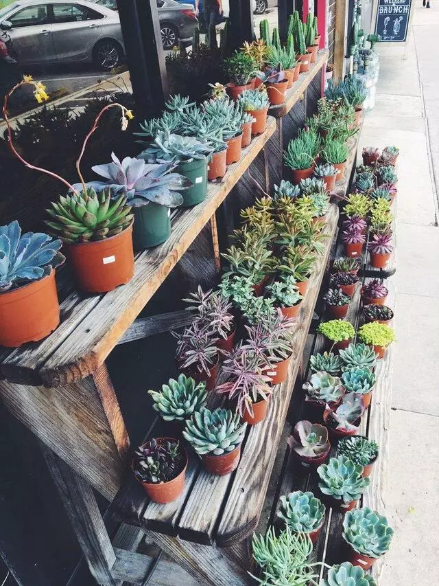 Farm to Market Grocery
