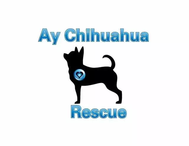 Ay Chihuahua Rescue