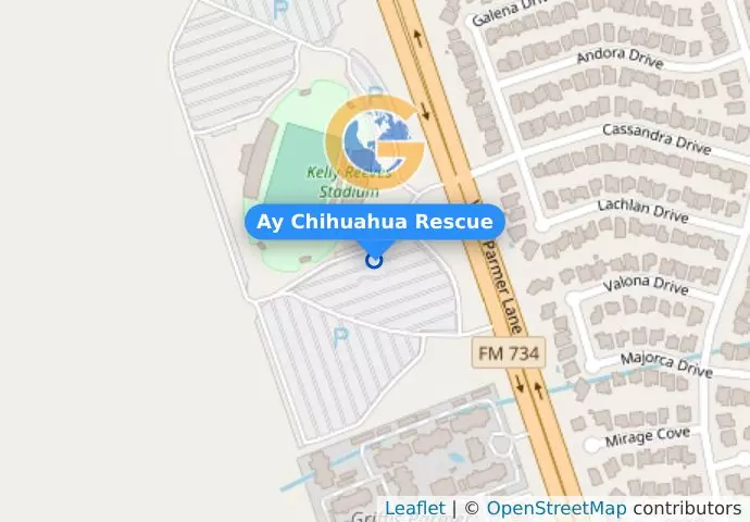 Ay Chihuahua Rescue
