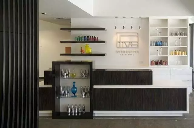 Avenue Five Institute