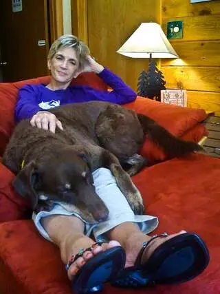 Austin Animal Sitters